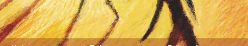 Migractions 2008