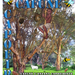 Cafouné